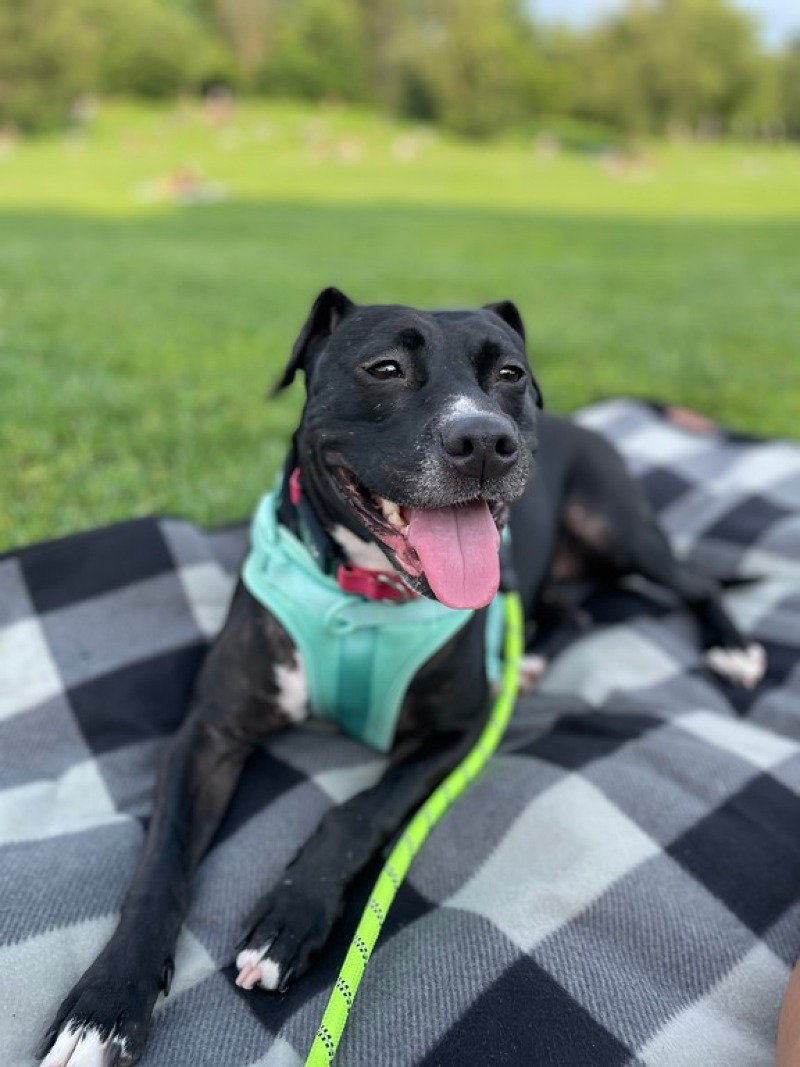  Fiona
