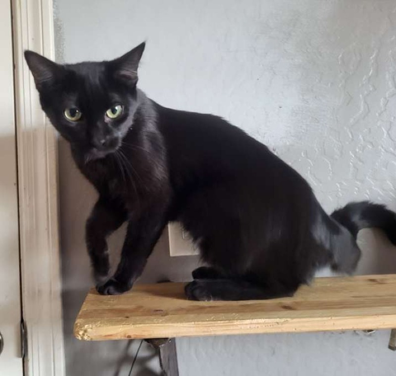 Binx