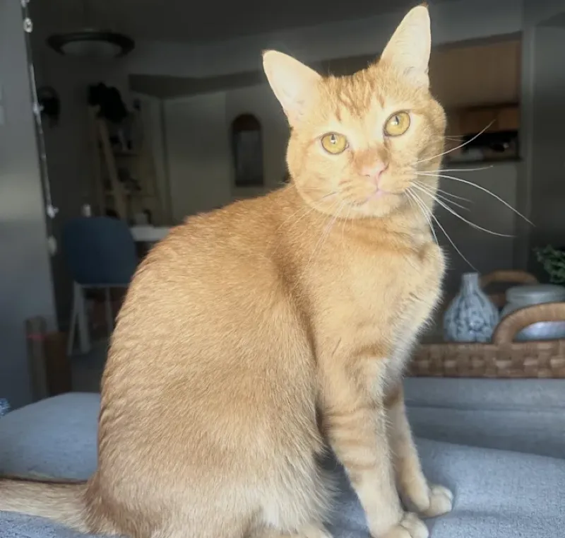 NALA photo 2